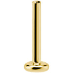Invändigt gängad labret 1.2mm | Titan Guld